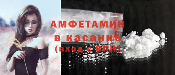 стафф Алзамай