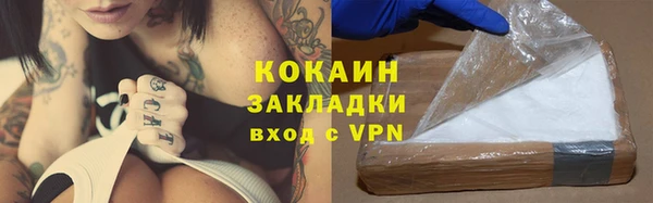 стафф Алзамай