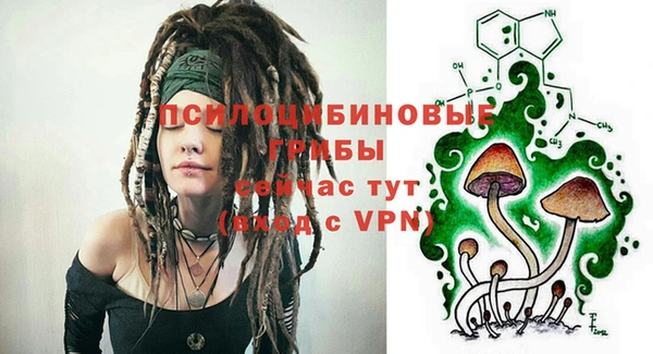 стафф Алзамай
