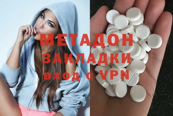 индика Алексин
