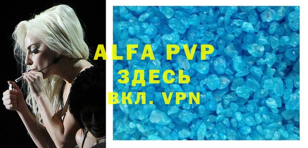 индика Алексин