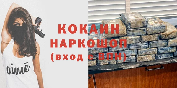 индика Алексин