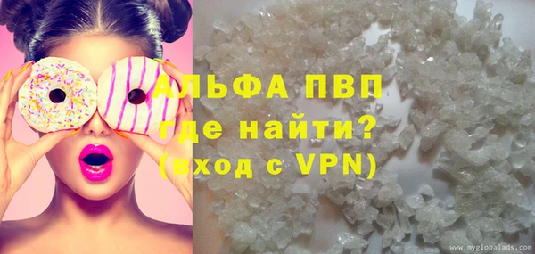 индика Алексин