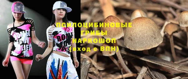 стафф Алзамай