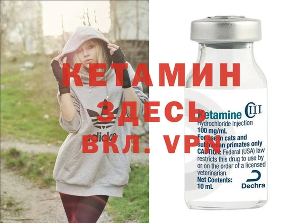 индика Алексин
