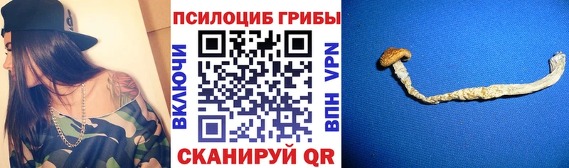 что такое наркотик  Лобня  ОМГ ОМГ сайт  Псилоцибиновые грибы Psilocybe 
